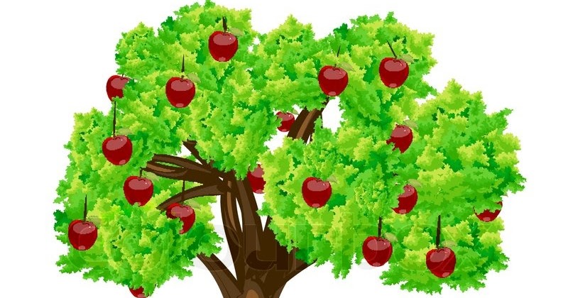 На яблоне поспели яблоки рисование в средней группе. Рефлексия дерево успеха. Урок яблоня. Урок яблоня. Яблоня без плодов.