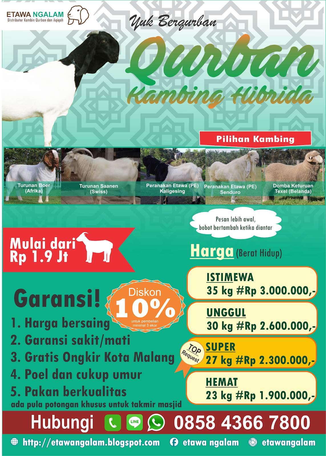 Cantik Poster Qurban Kambing Koleksi Poster