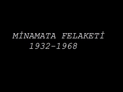 Minamata felaketi Minamata felaketi