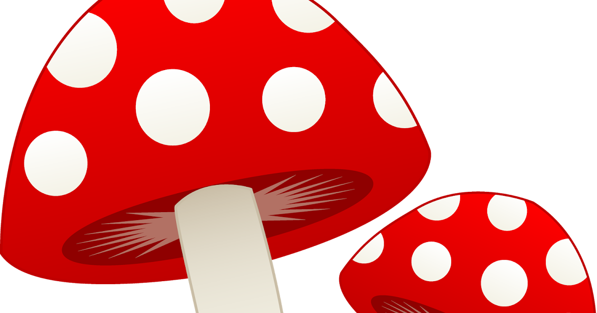 mushroom pizza clipart - photo #24