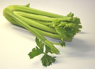 celery-selino celery-selino