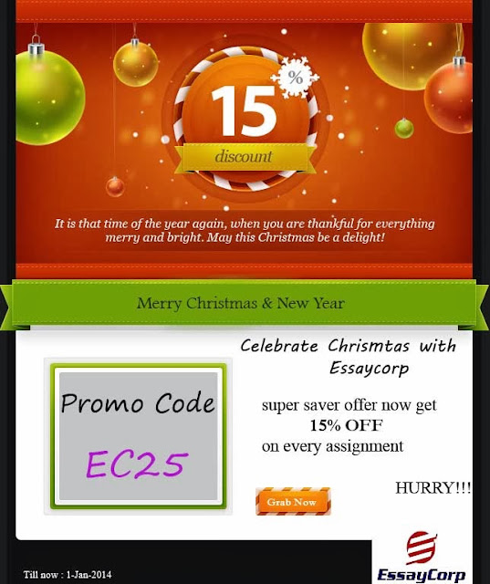 EssayCorp: Special Offer on Christmas