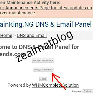 Domainking email free Image