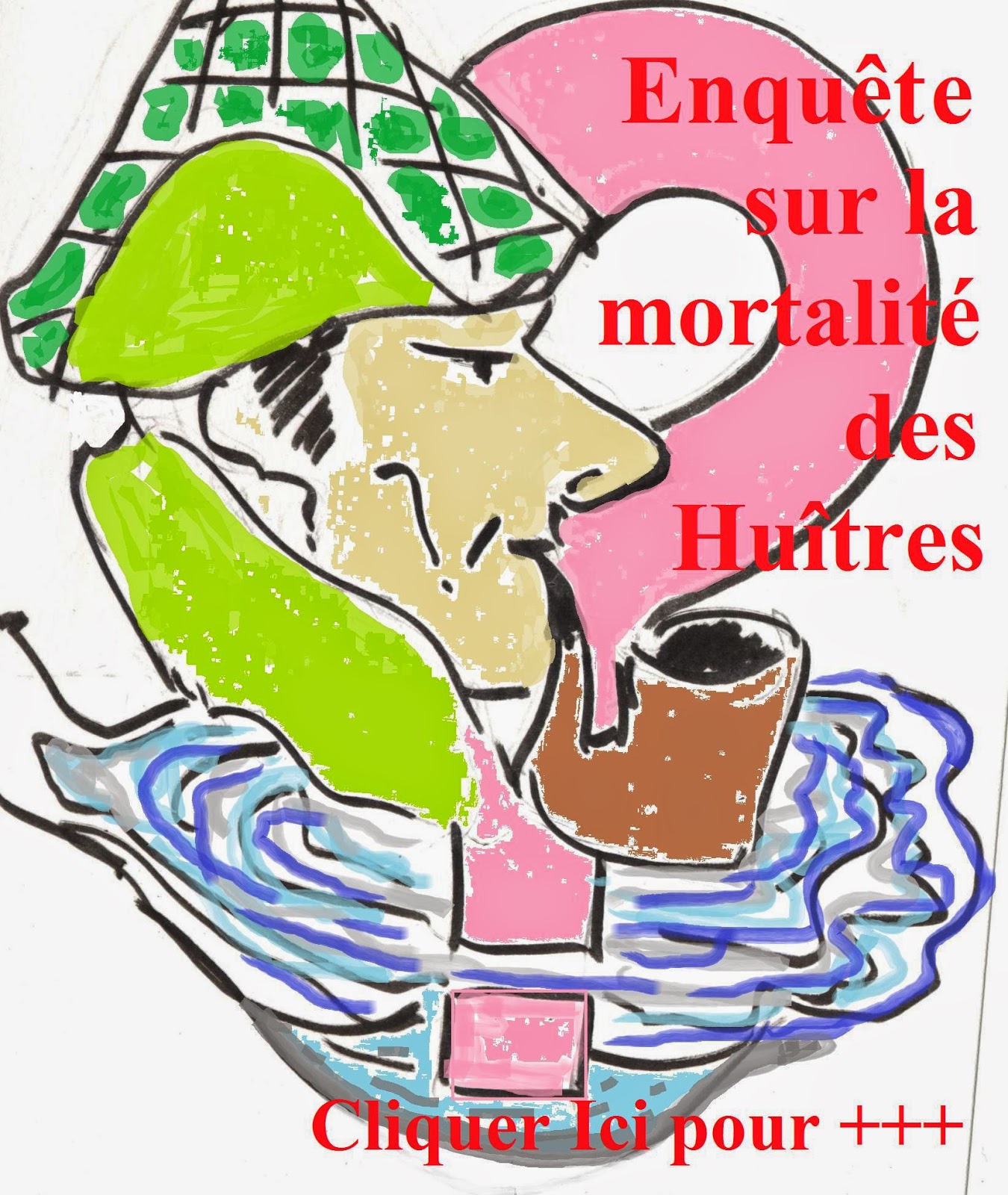 http://aquaculture-aquablog.blogspot.fr/2014/01/mortalite-huitre-enquete-le-bitoux.html