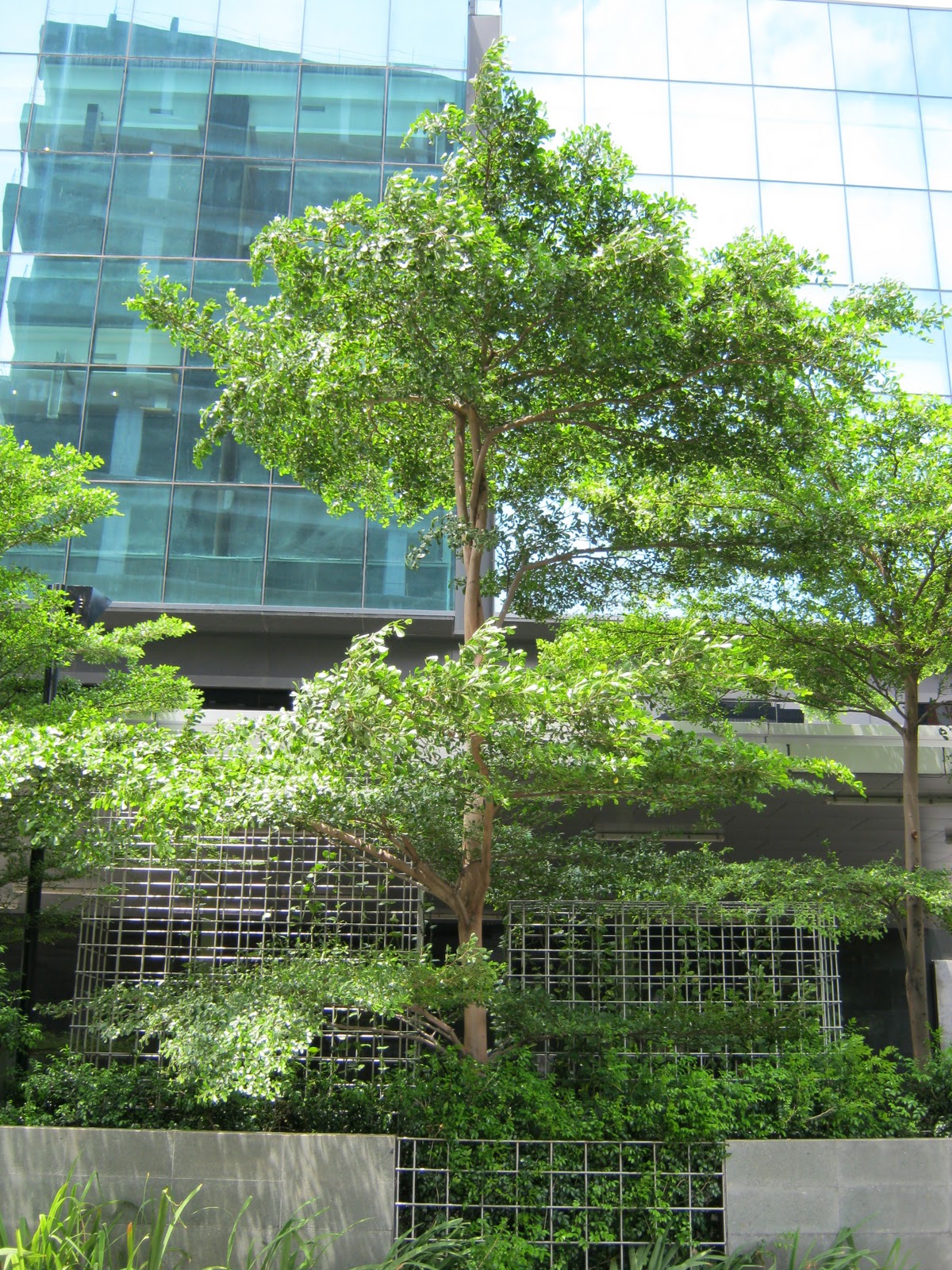 ramajaya taman: February 2011