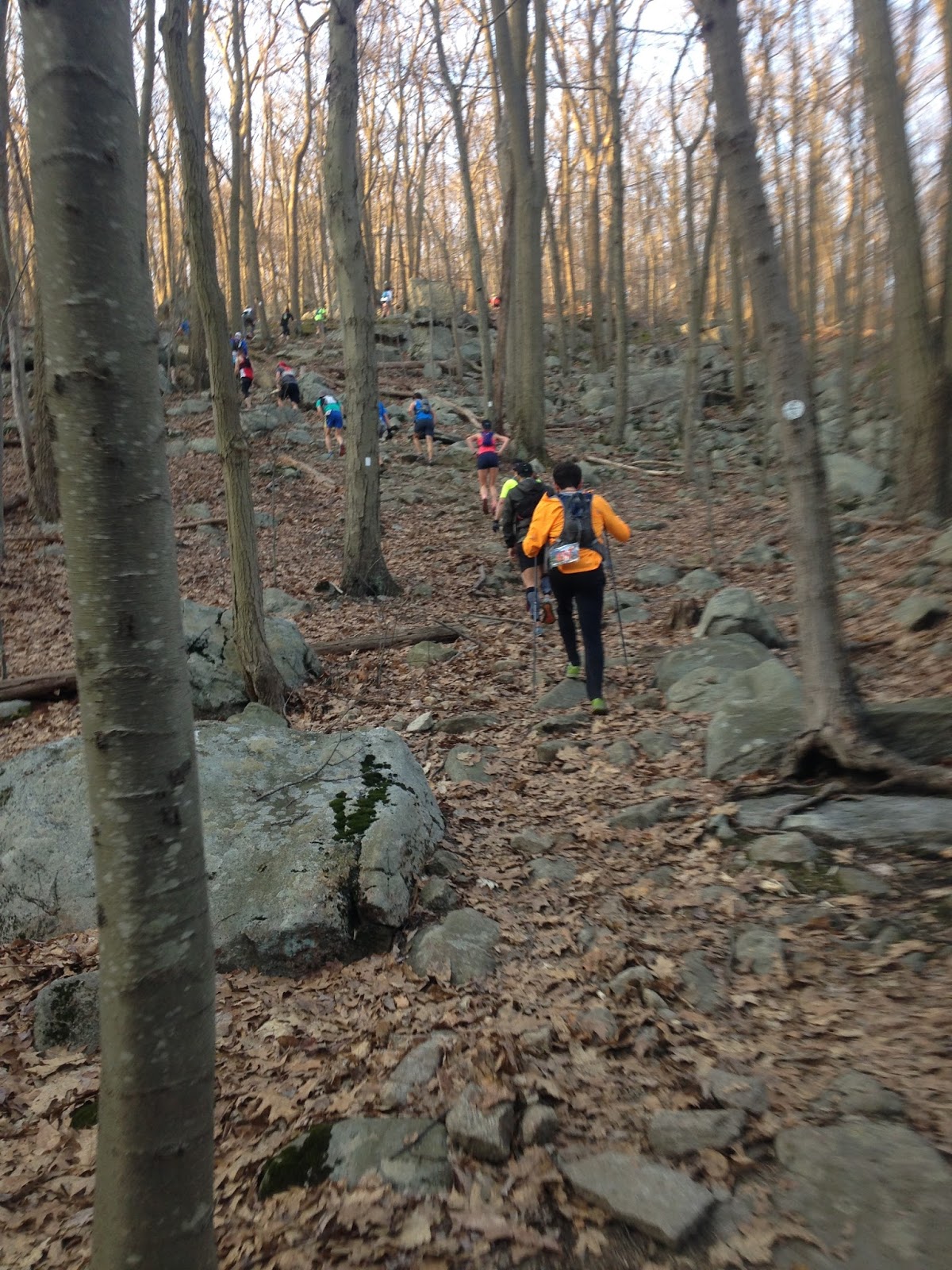 Uptown Vegan Breakneck Point Trail Marathon Race Report