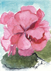 geranium watercolor painting miniature bunny artwork