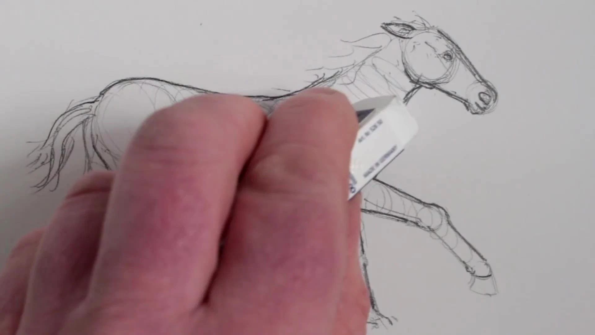 رسم حصان بالرصاص