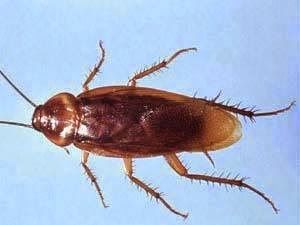 All Information Available Here in Tamil or English: July 2014