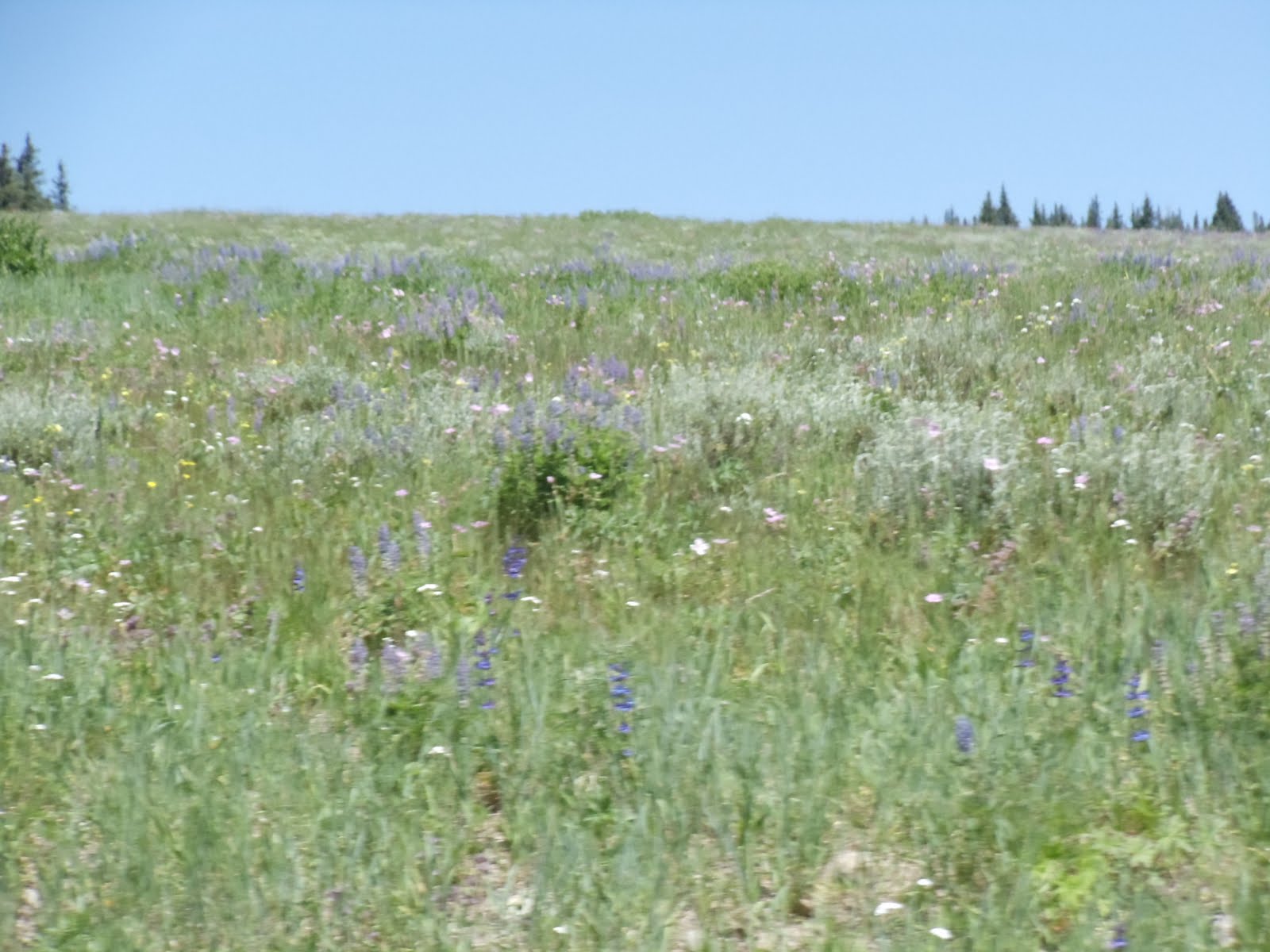 August | 2011 | testenjoyutah