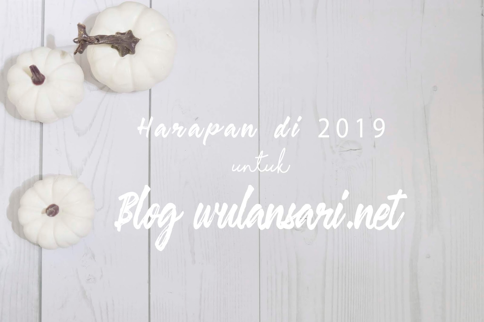 Harapan di Tahun 2019 untuk Blog Wulansari.net