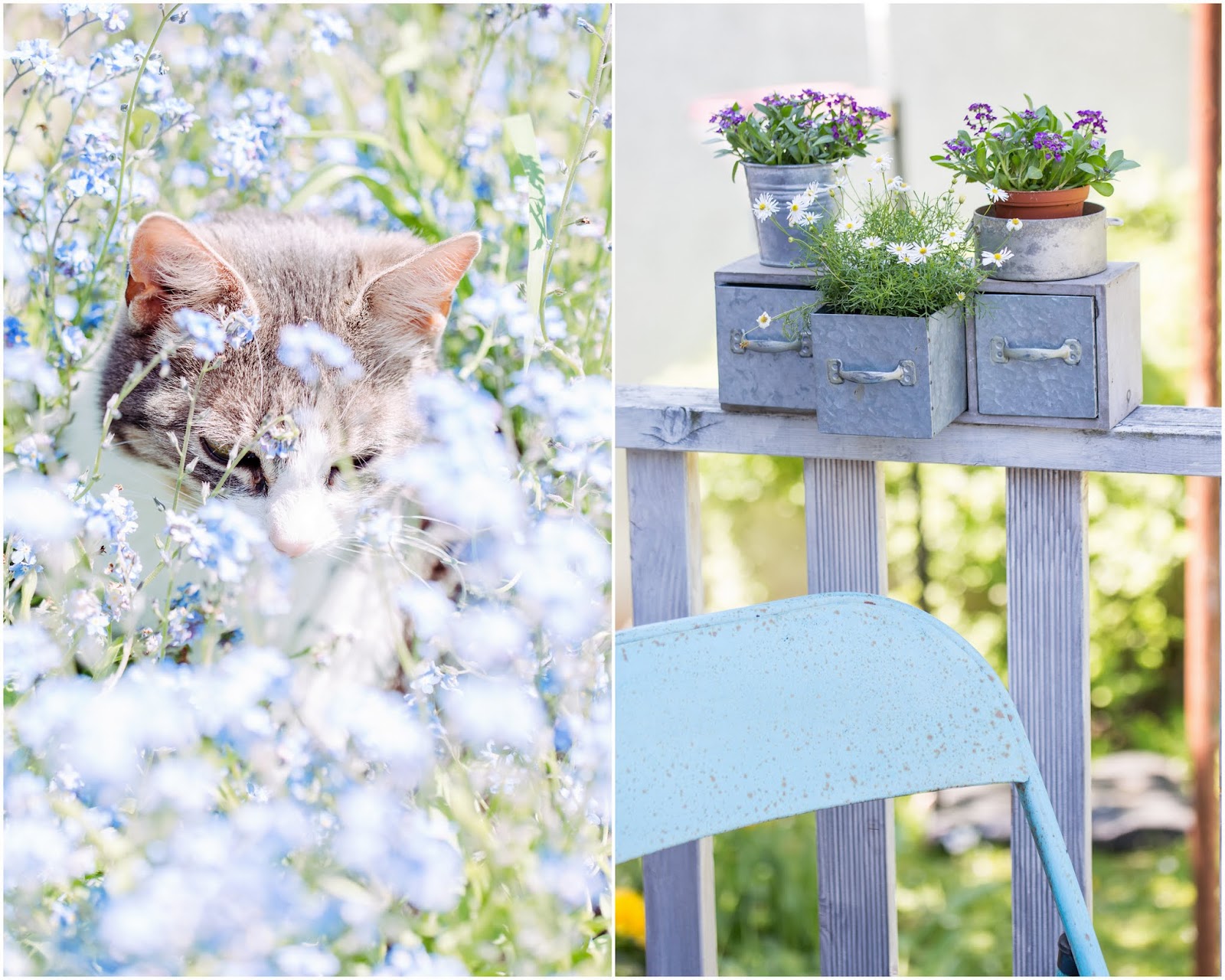 Lust auf Anregungen oder Veränderung?.....Frühjahrsmesse Garten in
