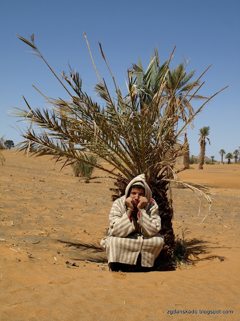 Erg Chebbi