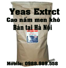yeast, extract