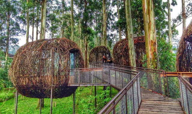 6. Dusun Bambu Lembang