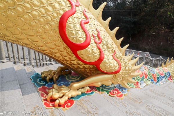 中寮金龍山法華寺兩尾亞洲最長80米金龍護持,還有雙鳳凰迎賓 中寮金龍山法華寺兩尾亞洲最長80米金龍護持,還有雙鳳凰迎賓