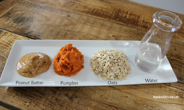 Oatmeal Pumpkin Round Dog Treats Oatmeal Pumpkin Round Dog Treats