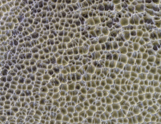 Những cồn cát nằm giao thoa với nhau trên bề mặt Sao Hỏa. Khi quan sát từ trên cao, chúng trở nên rất kỳ lạ và khó hiểu. Hình ảnh: NASA/JPL.