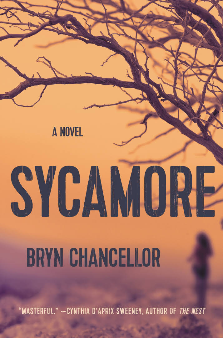 Elementary, my dear Book review Sycamore by Bryn Chancellor
