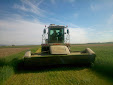 Forage harvester. Claas Jaguar