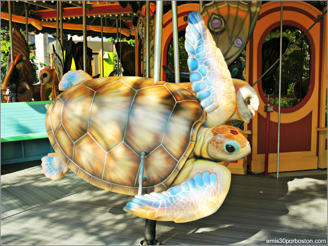 Tortuga de Mar Greenway Carrusel Boston Tortuga de Mar Greenway Carrusel Boston