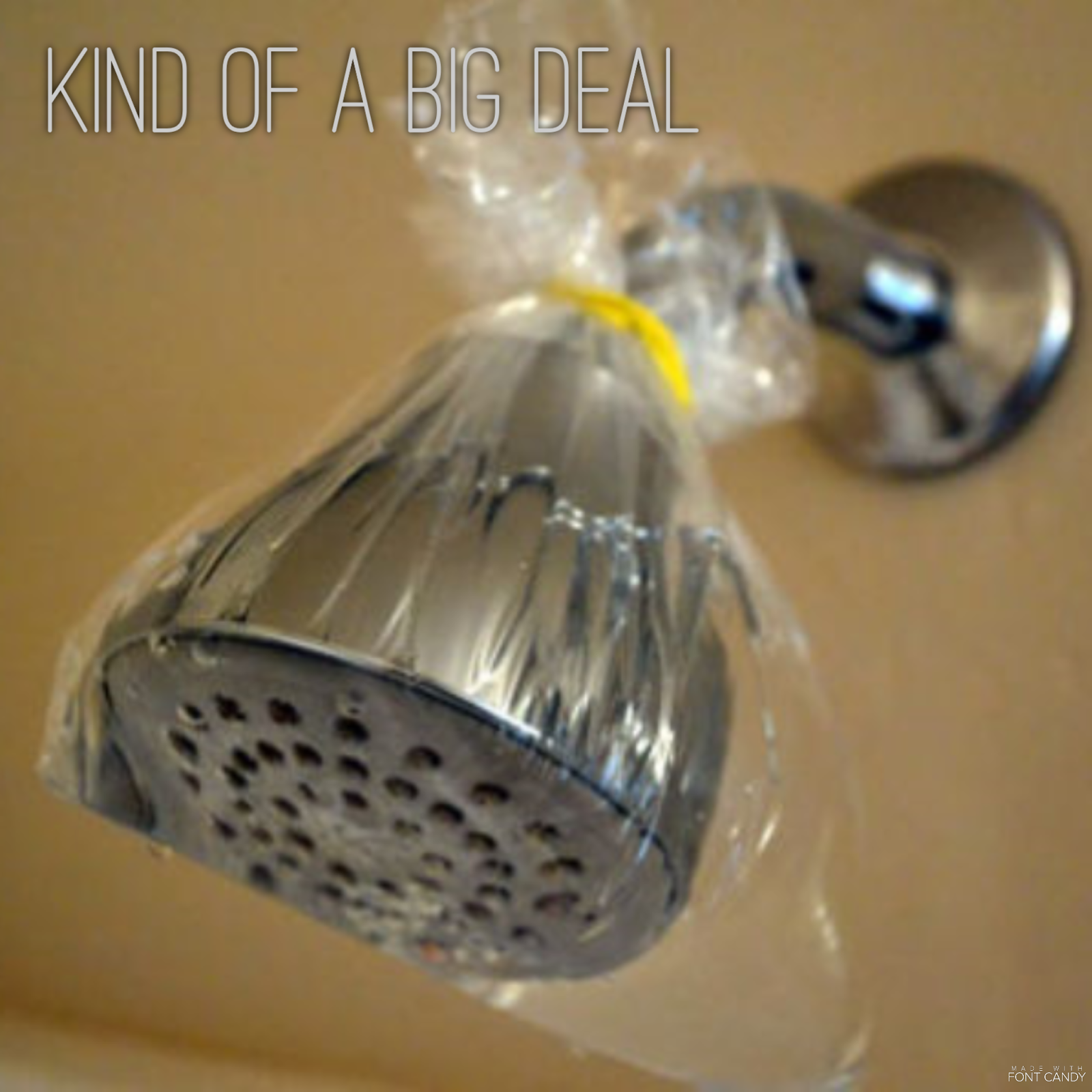 kind of a big deal Nasty shower heads and cook top? Time to tackle them.