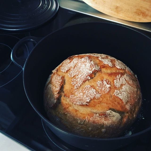 Regensburger Tagebuch Frohe Ostern Ihr Lieben Hasen