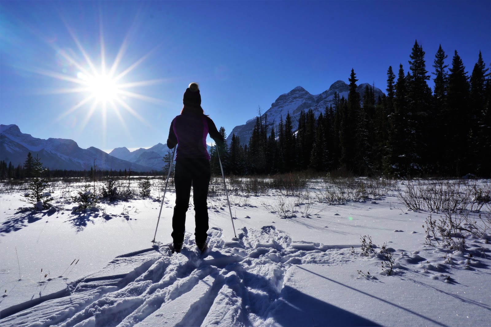 Kananaskis Wilderness Hostel Your Base Camp for Adventure Play