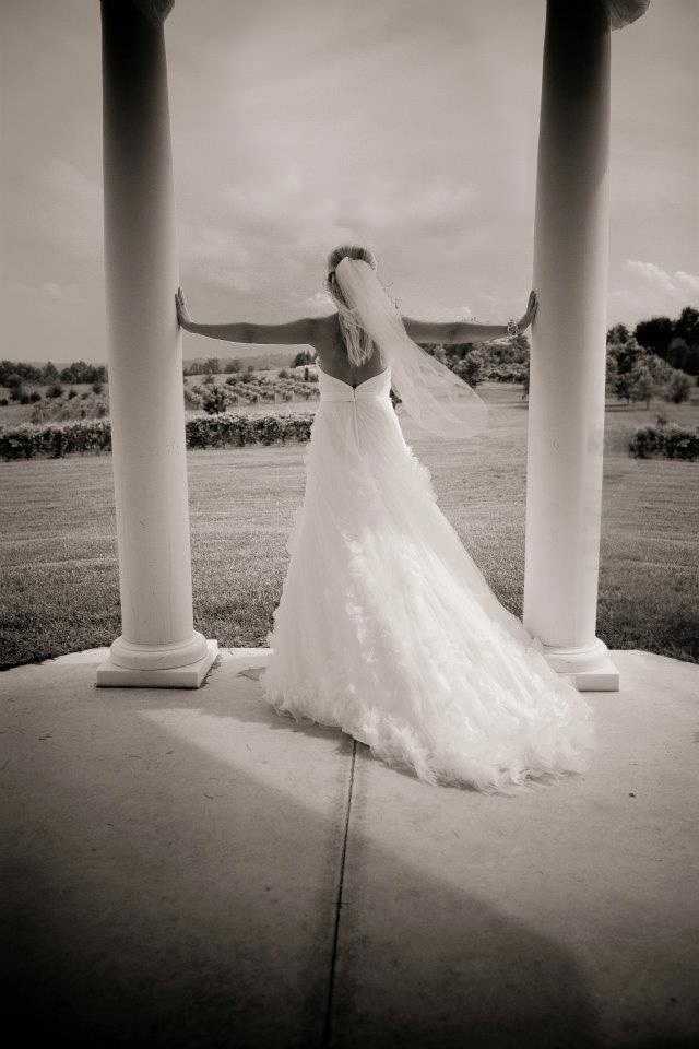 KC Photography KC Photography's Wedding Spectacular!