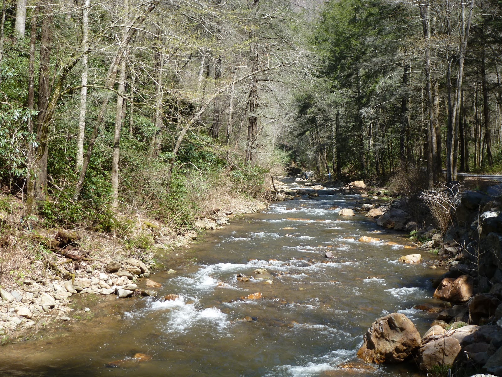 The Continuing Adventures of Eric, Noelle and Sierra Cherokee National