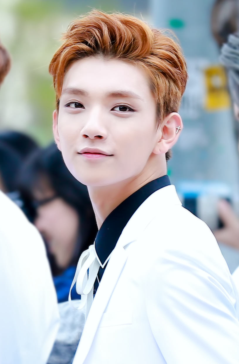 Seventeen profile - Tiny Kpop Idol Profile