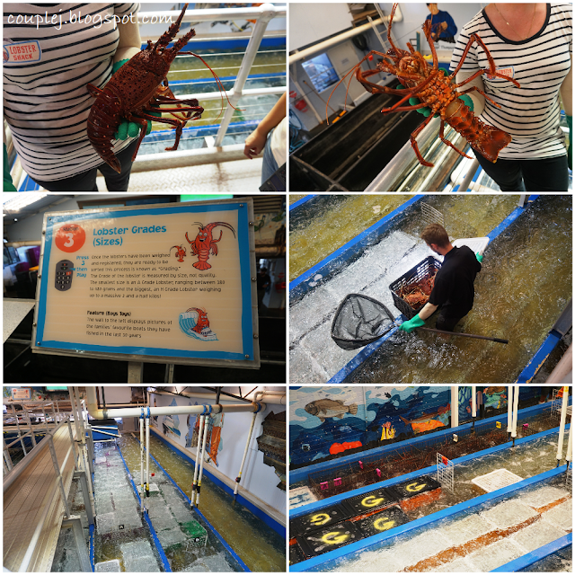 7D6N in Perth, Western Australia for MYR 3,360 PER PAX ALL IN (Part 2