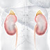 Celebra-se amanhã o Dia Mundial da doença Renal - MISAU inserido na promoção do acesso a saúde