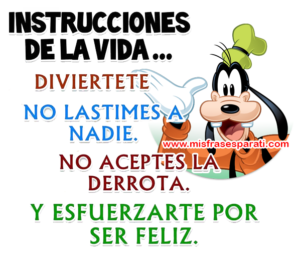  Instrucciones de la vida