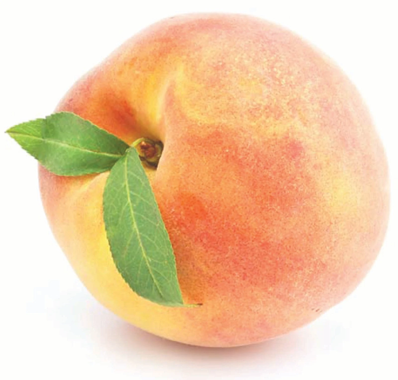 Amazing Peach Blonde Hair Photo in 4K