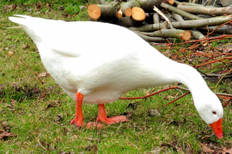 A Family Fun Day Out In Bakewell