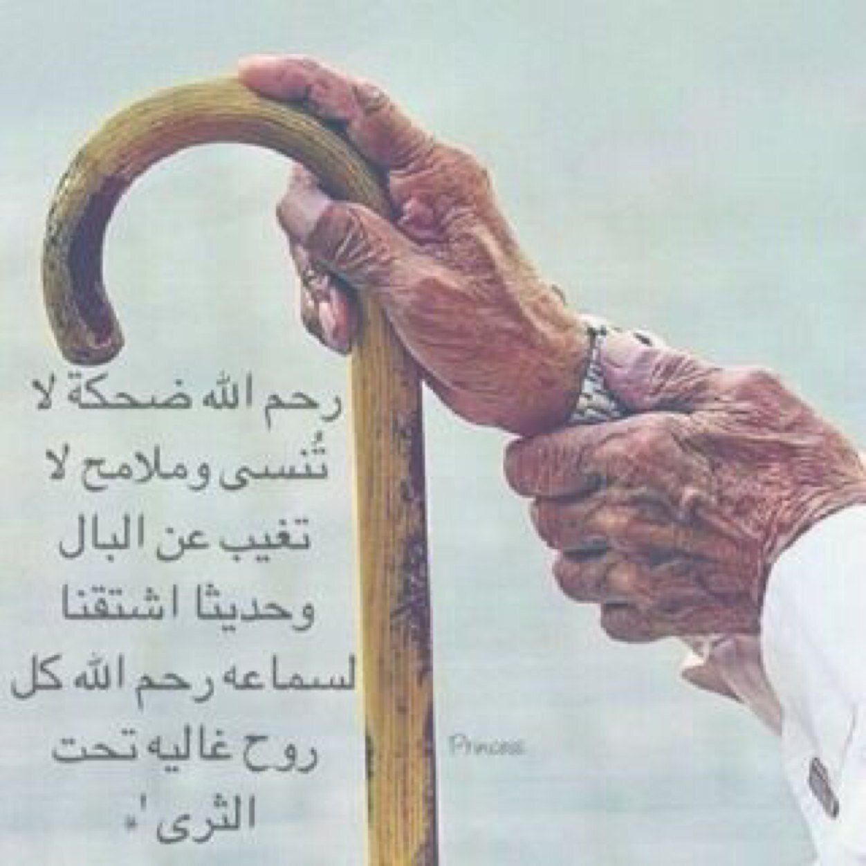 صور عن جدى 2018 خلفيات عن الجد مصراوى الشامل