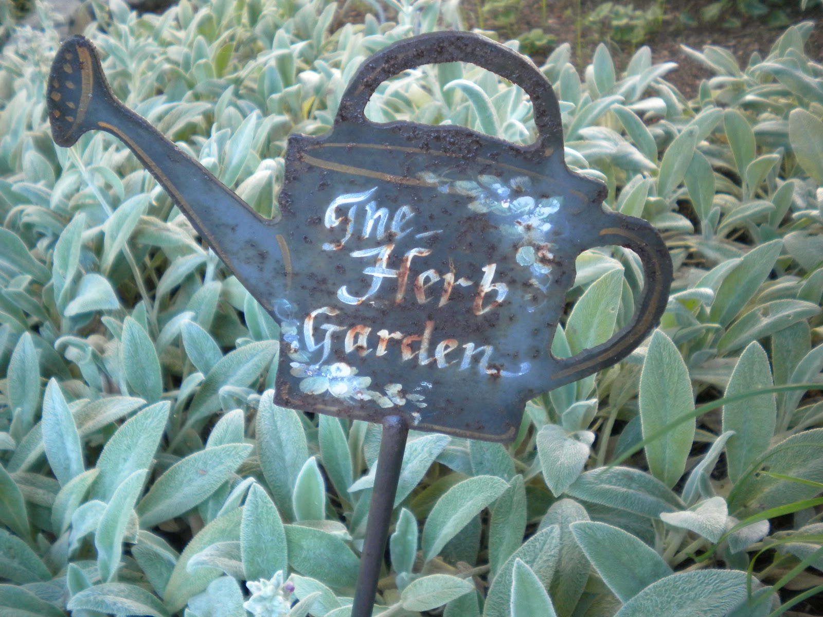 Rosemary's Sampler Herb Garden Labels