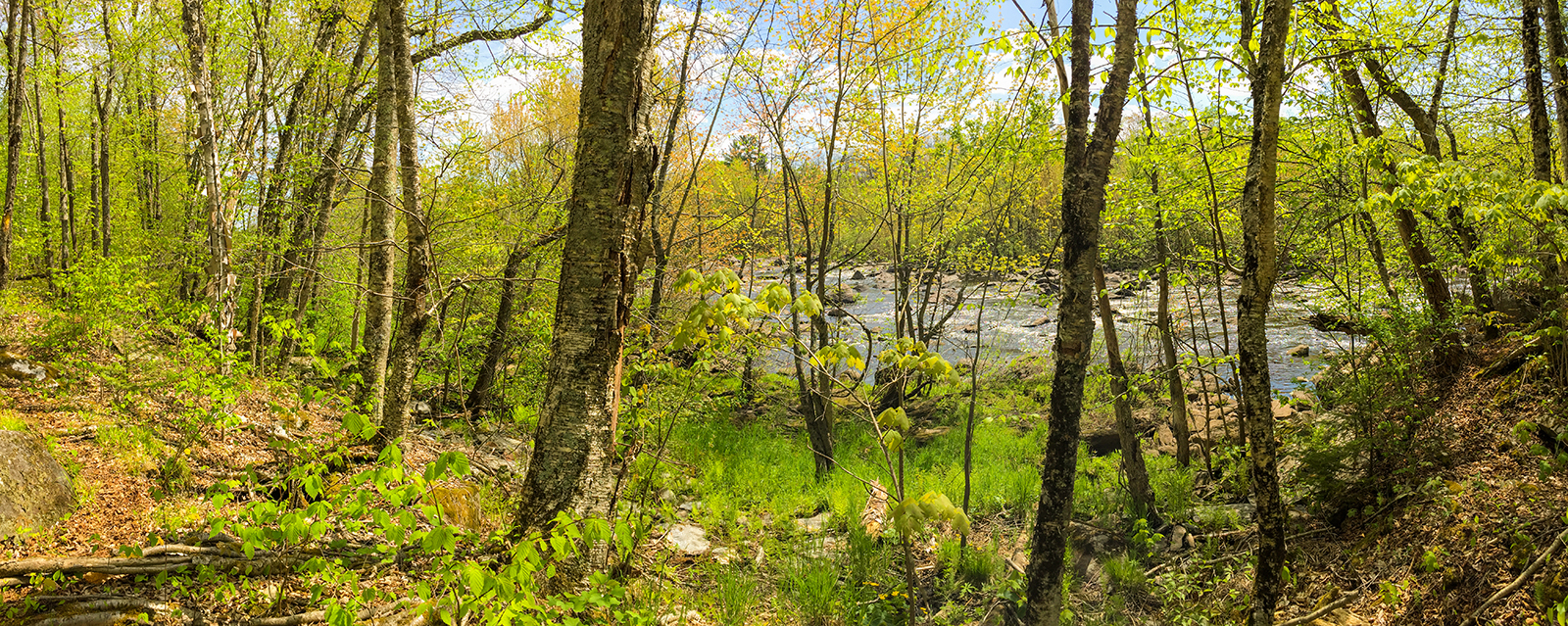 Wisconsin River along the Turtle Rock Segment of the Ice Age National Trail