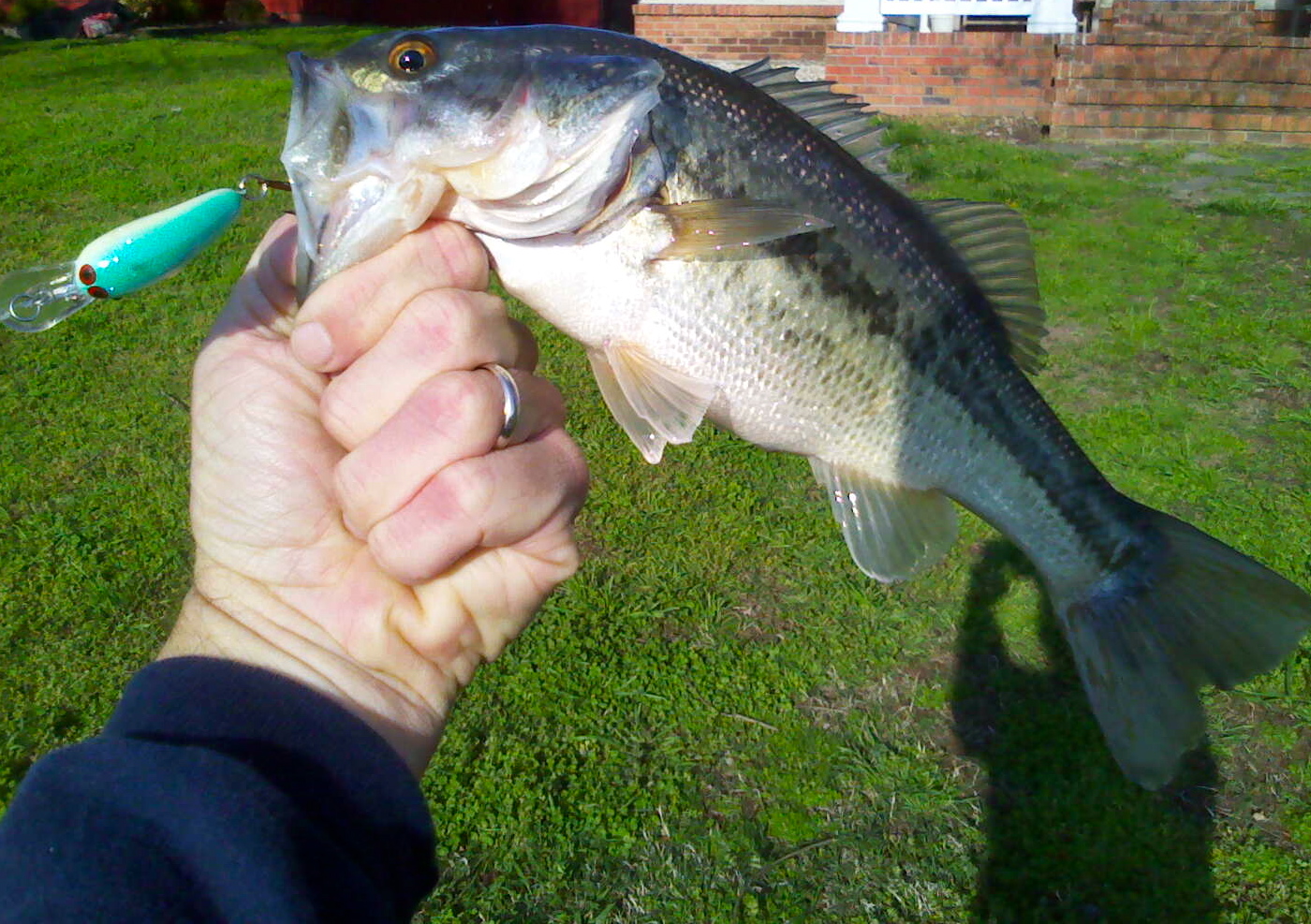 Fish Hard Lowcountry Horseshoe Lake Arkansas Fishing March 28, 2011