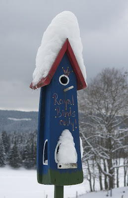 Birdhouse on a snowy day