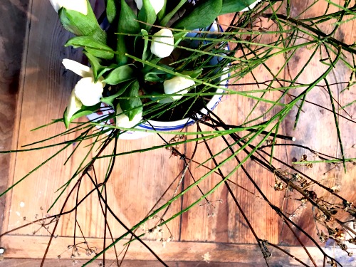 Steffi S Hochzeitsblog Wie Organisiere Ich Einen Flashmob Als