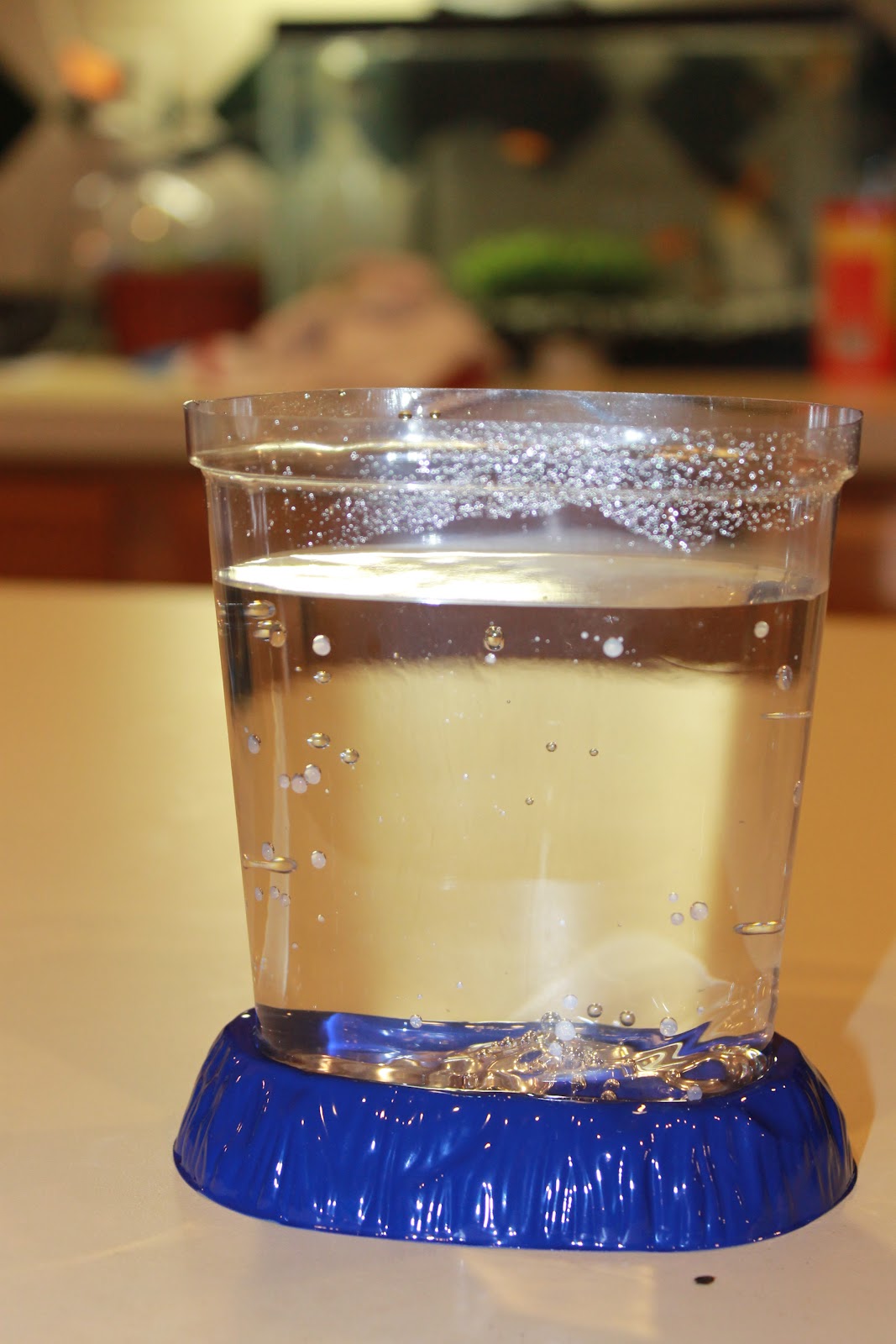 Meet The Murdocks's: Sea Monkeys - What are they?