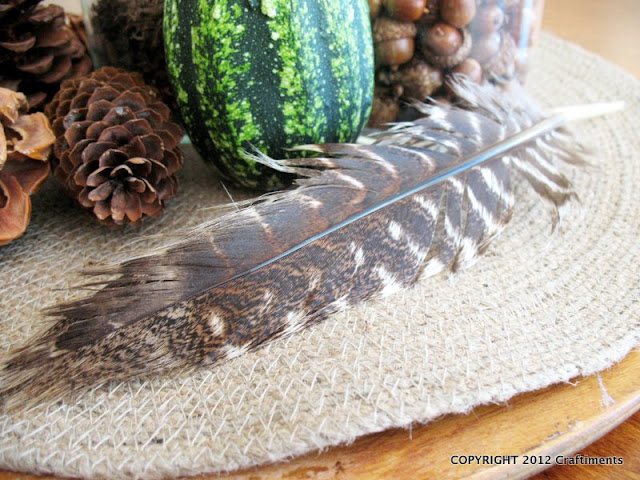 Craftiments:  Turkey feather