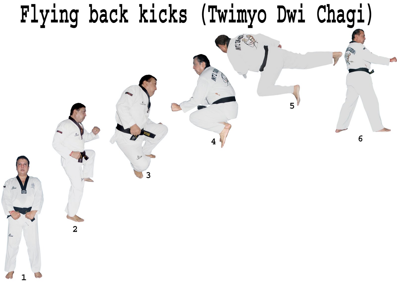 Грандмастер тхэквондо. Чаги чаги корейская игра. Taekwondo Fly. Грандмастер тхэквондо логотип. Ман Хонг чаги.