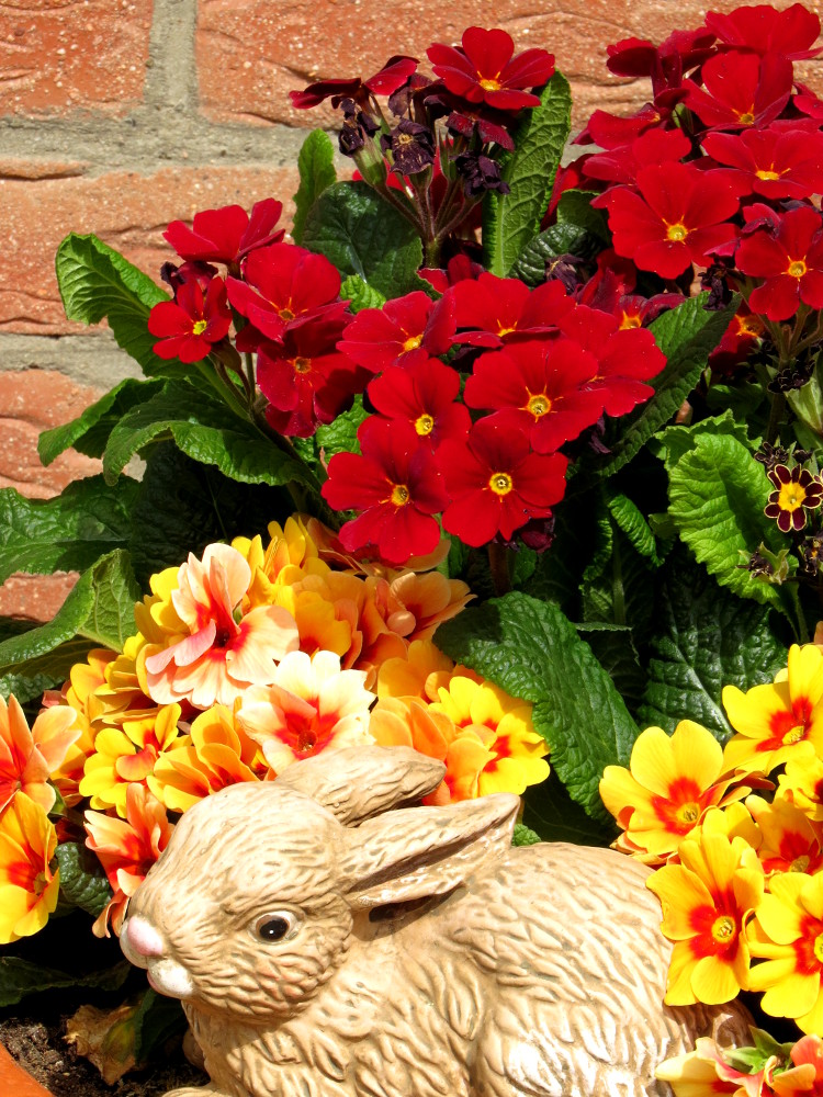 neuer Gartentraum und Rückblick auf Ostern