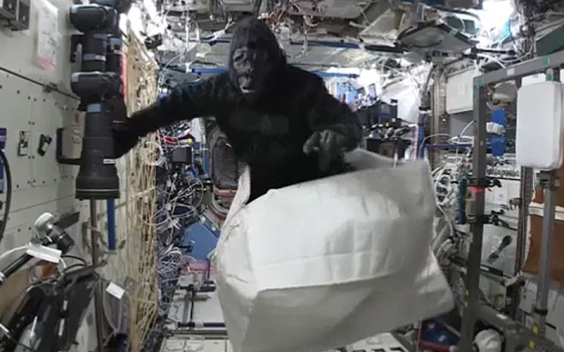 The Monkey Buddha: Gorilla in Space!