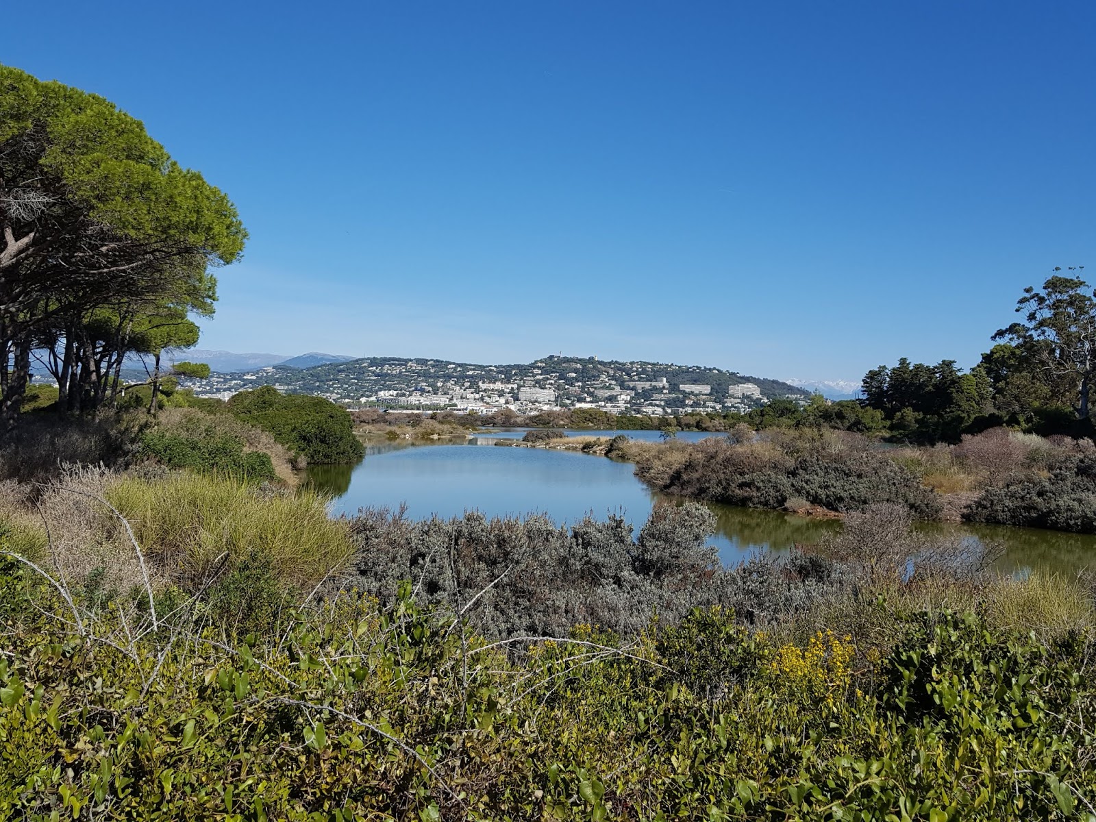 Ecole Montessori d'Antibes Notre séjour sur l'île SainteMarguerite du 1er au 3 octobre 2018