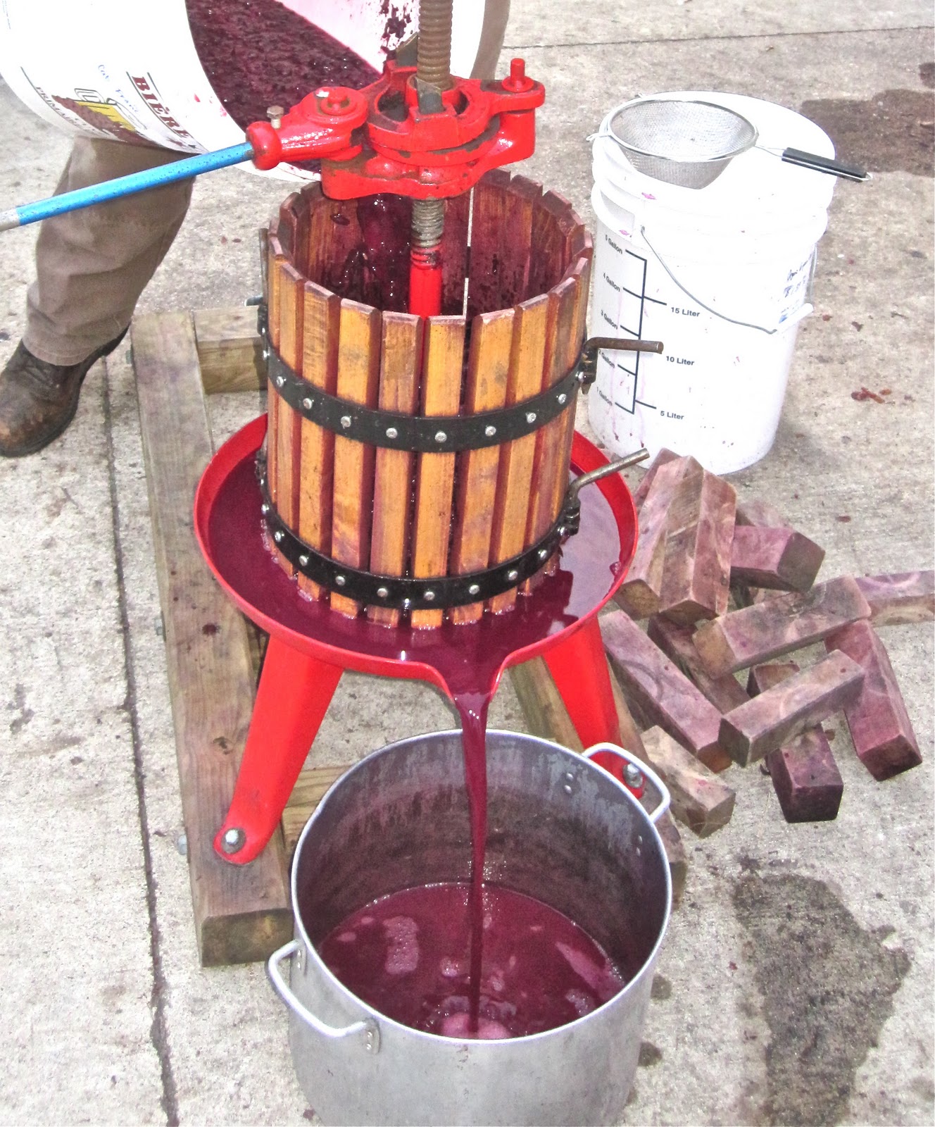 Making wine from fresh grapes The Buzz Siciliano's Market News & Notes