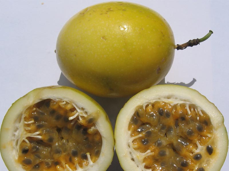 Fruit Beginning With A Letter C Fruit Beginning With A Letter C
